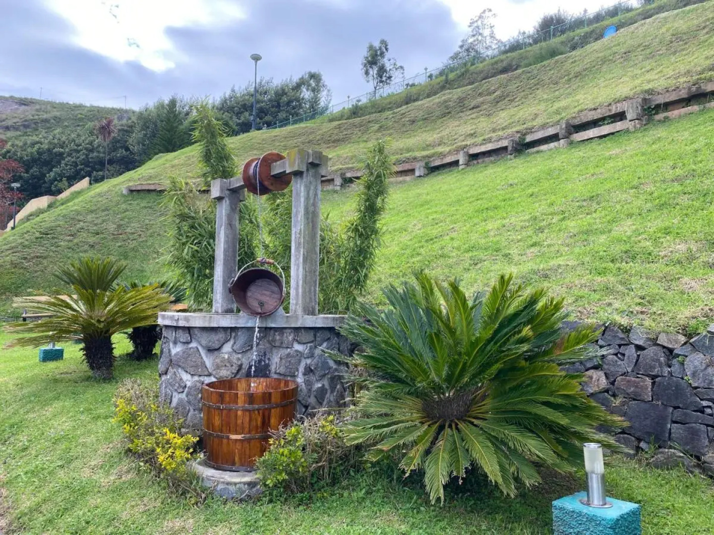 Hill Country Lovedale