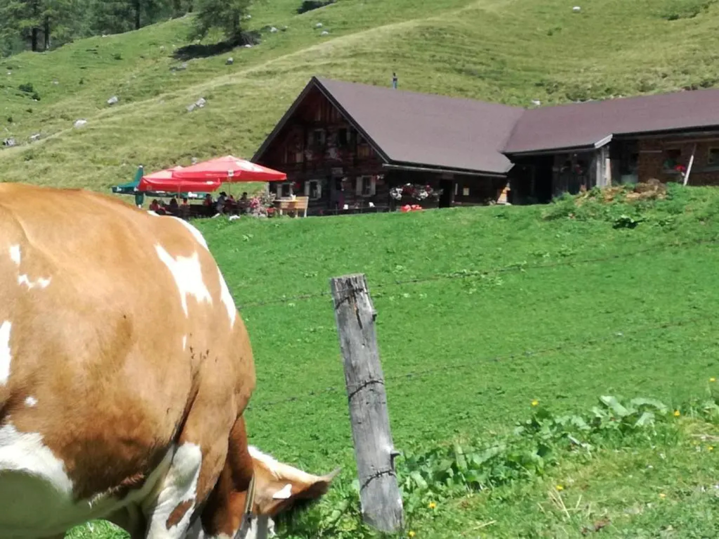 Appartment Rettenwender