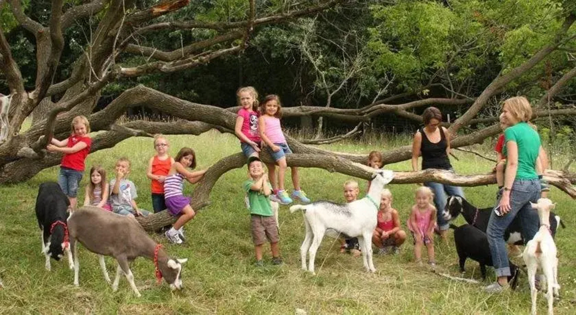 Rainbow Ridge Farms Bed and Breakfast Onalaska/La Crosse