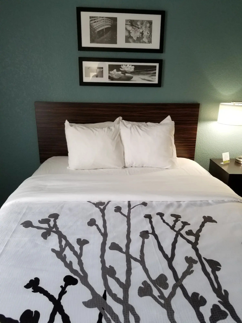 Sleep Inn & Suites Ames near ISU Campus