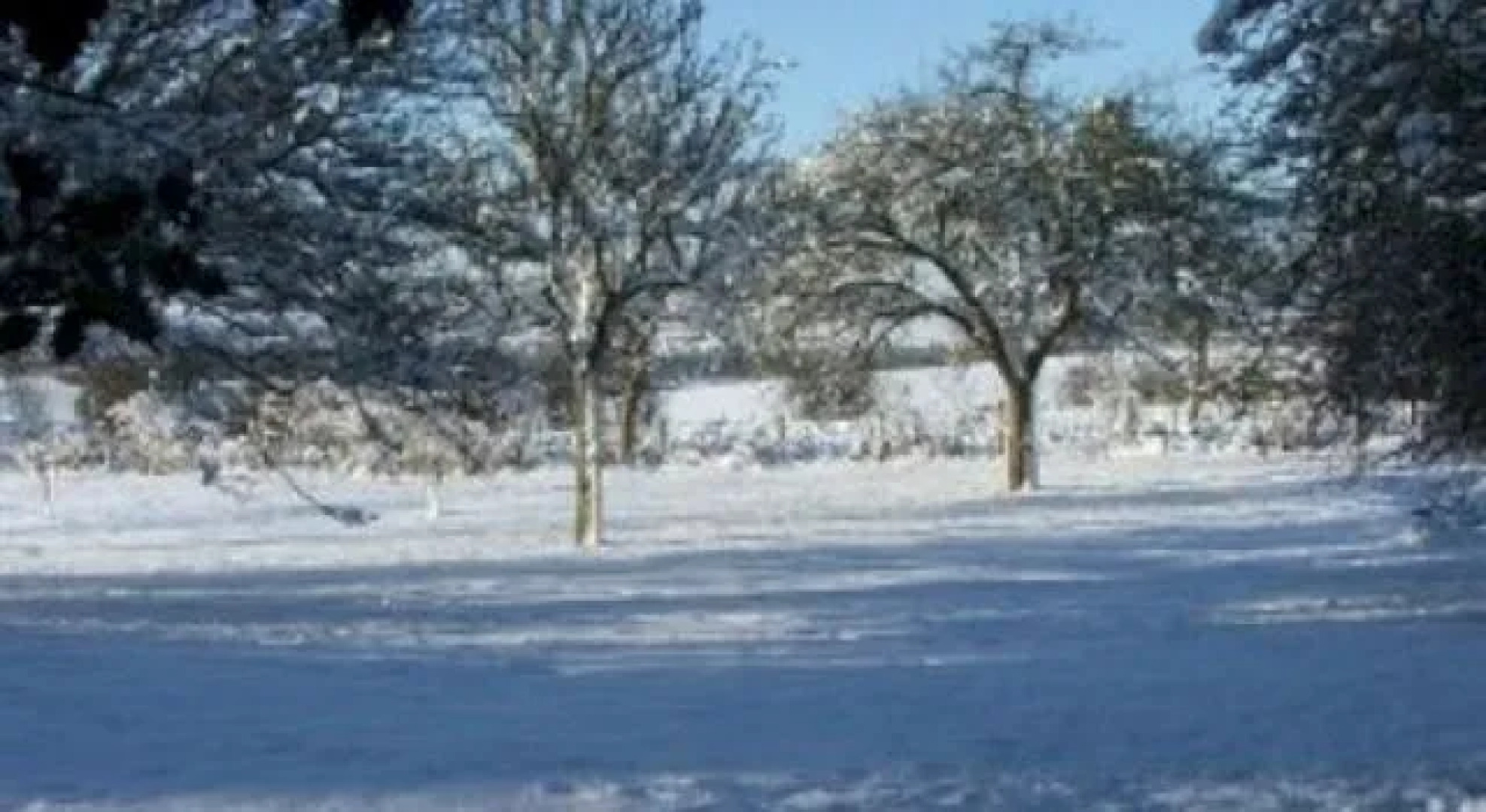 Little Treaddow Farmhouse B and B