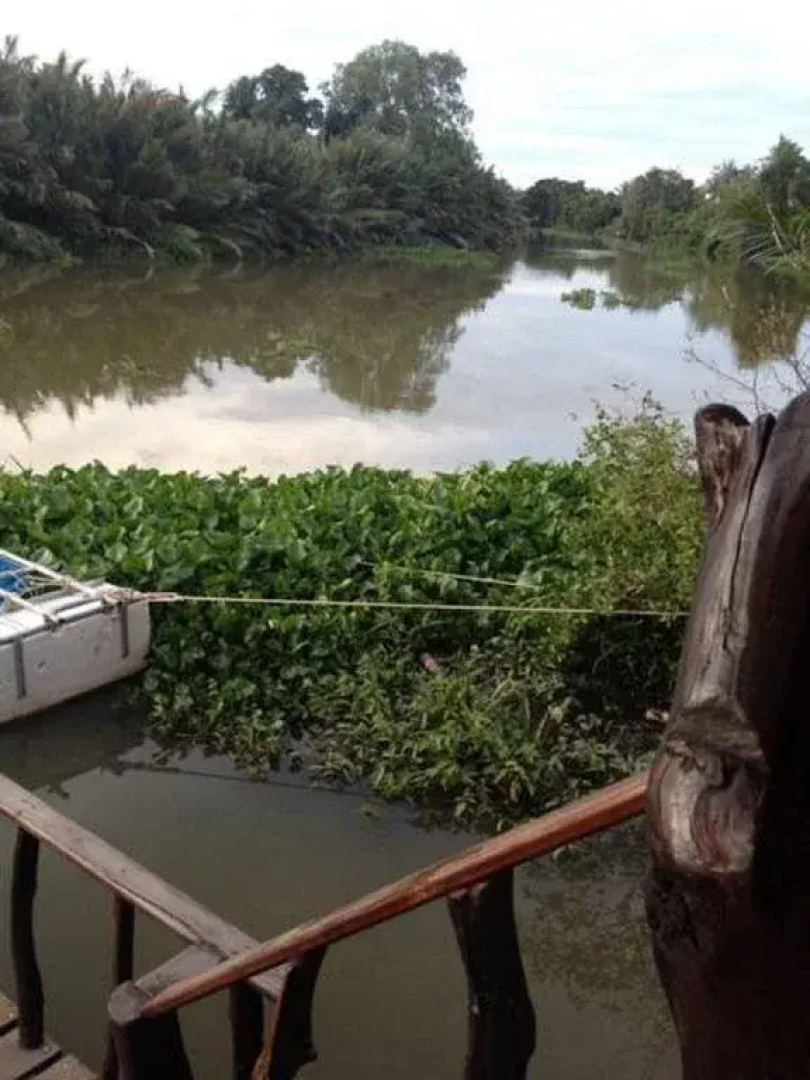 Floating Island Seafood & Resort