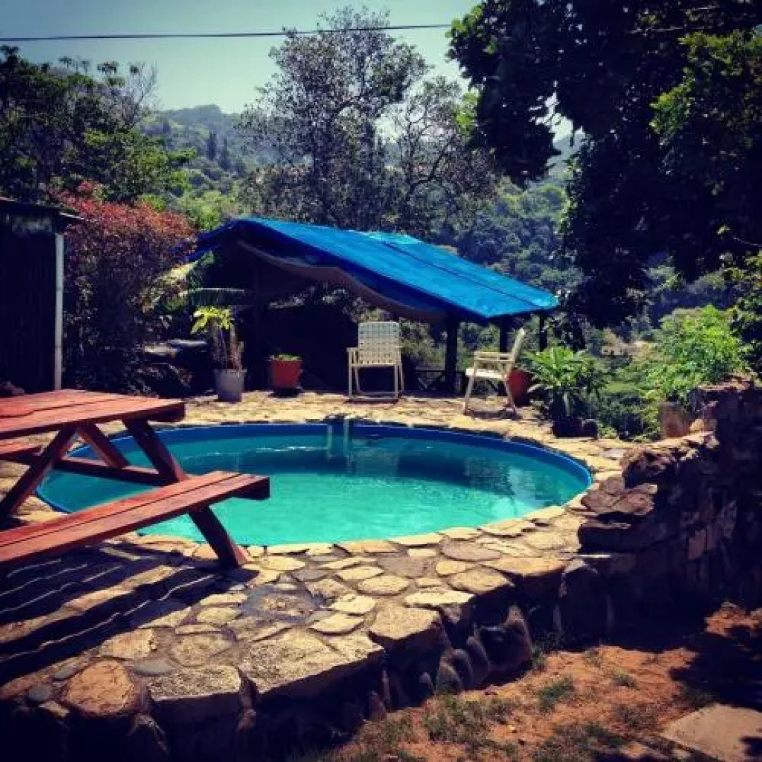 Jungle Monkey Backpackers