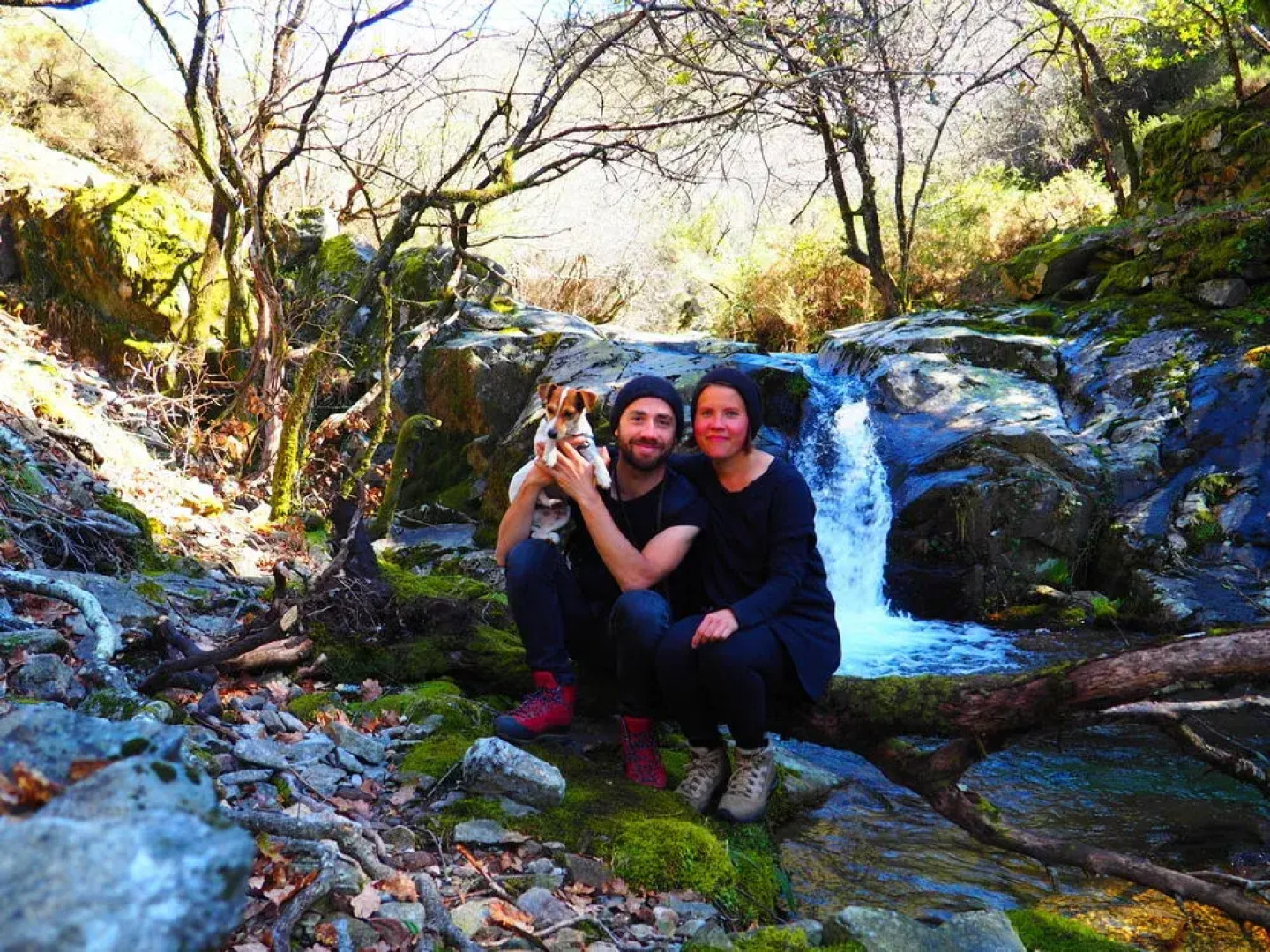 Cherry Cottage Vintage B&B