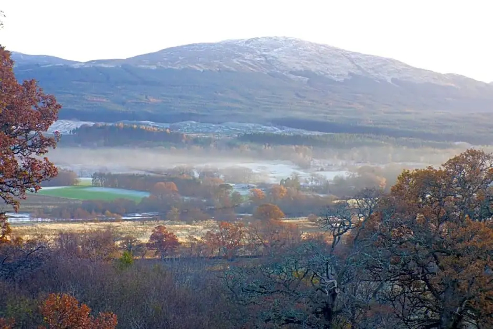 Cosy Rowan woodland lodge no3