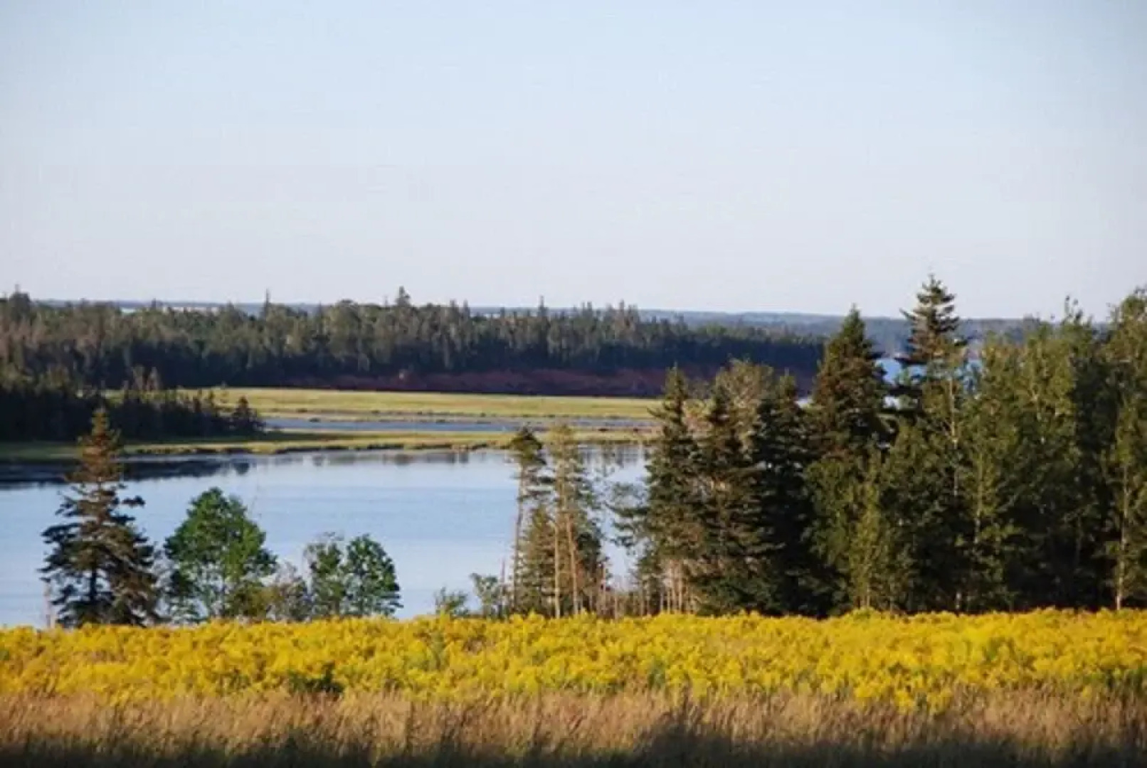 Ned's Landing at Spry Point