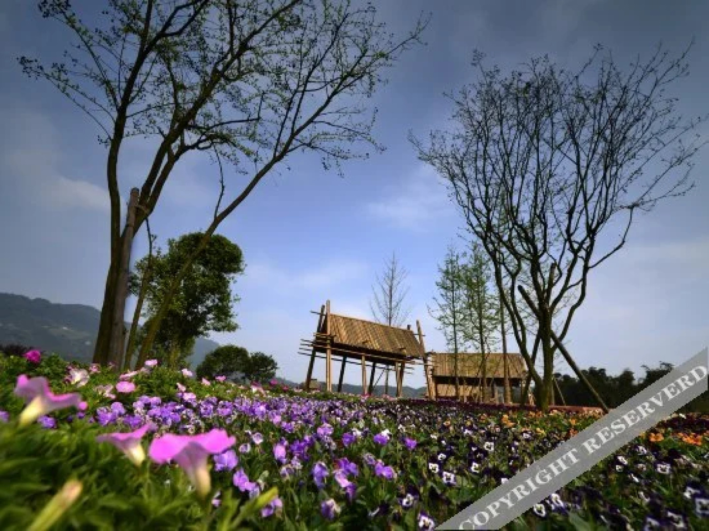 Phoenix Flower Dock Hotel