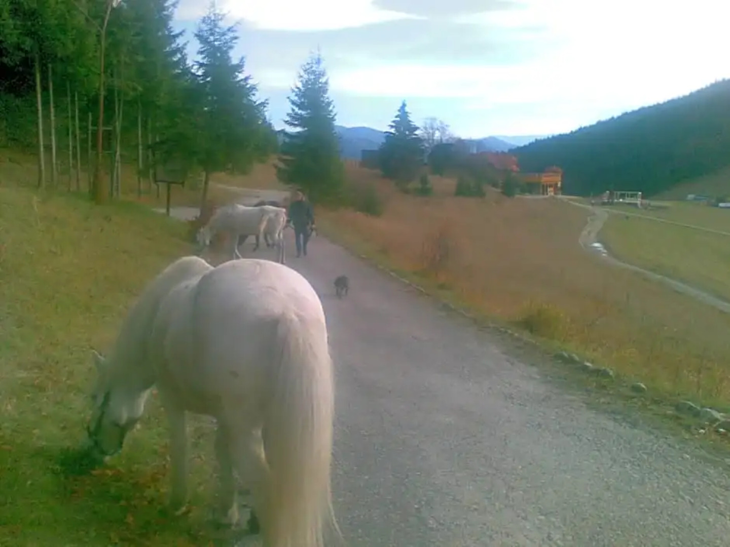 Chata u sovicky Malino Brdo