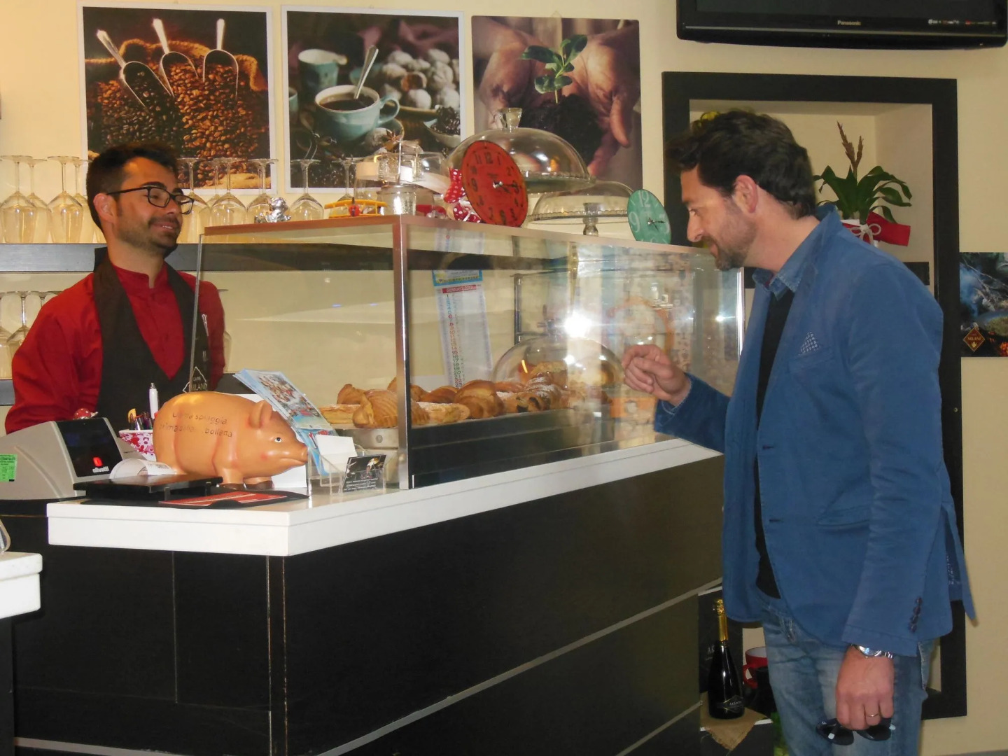 Actinia Accomodation