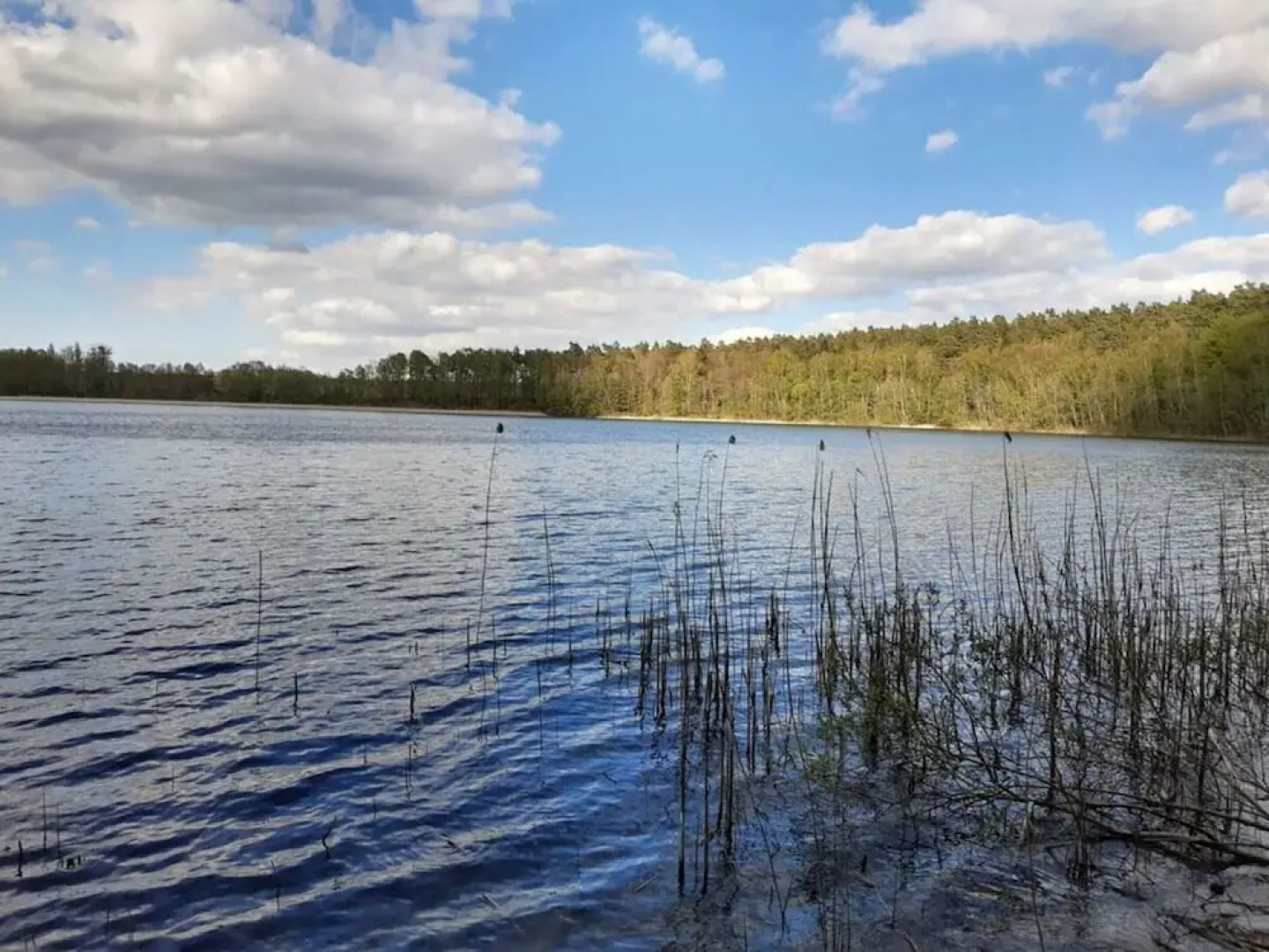 Time out Modern Retreat