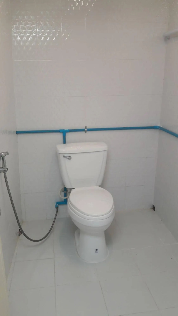 Purple Monkey Backpackers