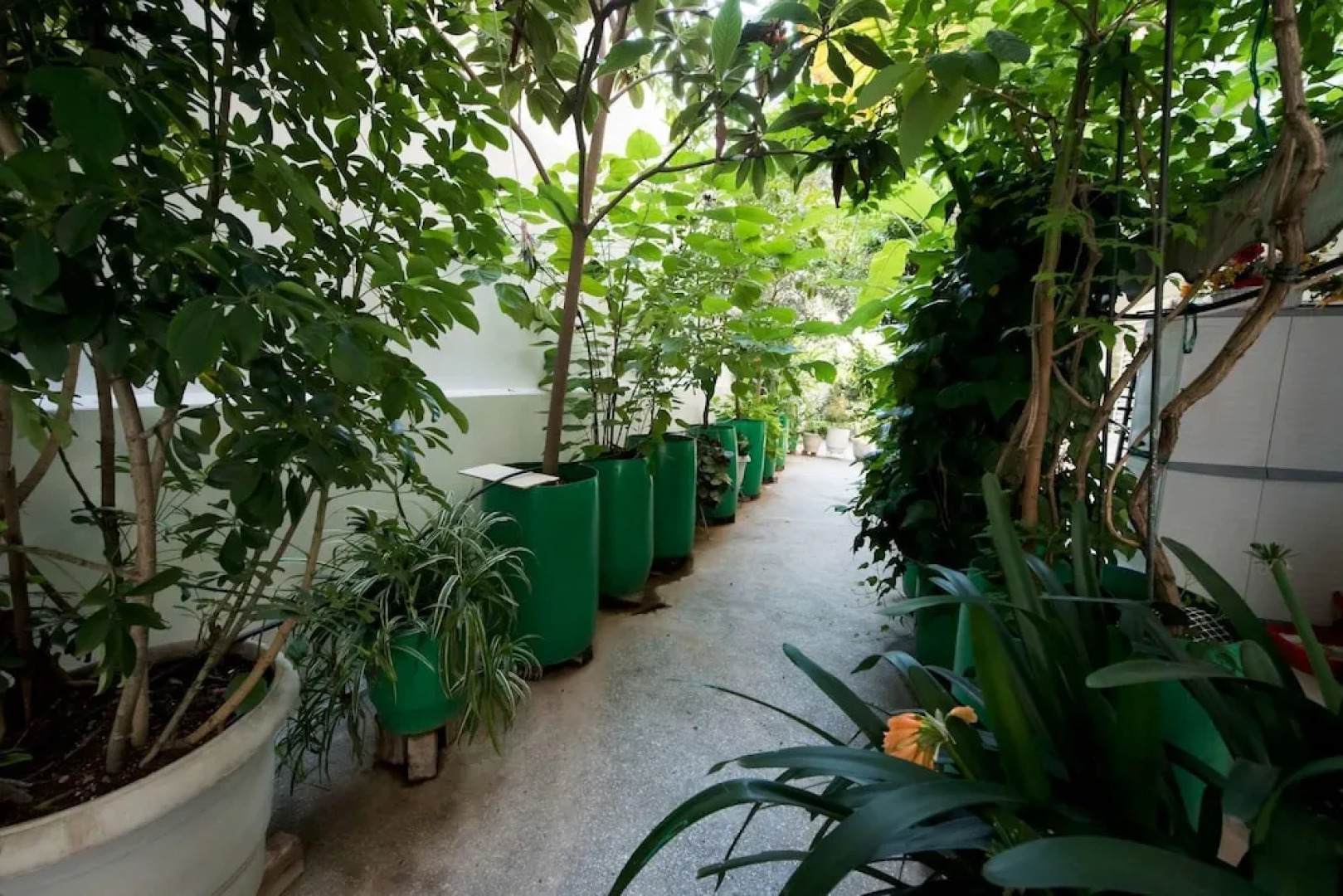 Garden Central Athinian Apartments