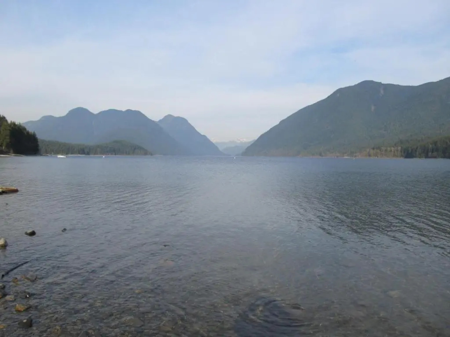 Clean Quiet Comfortable suite; Coquitlam Center