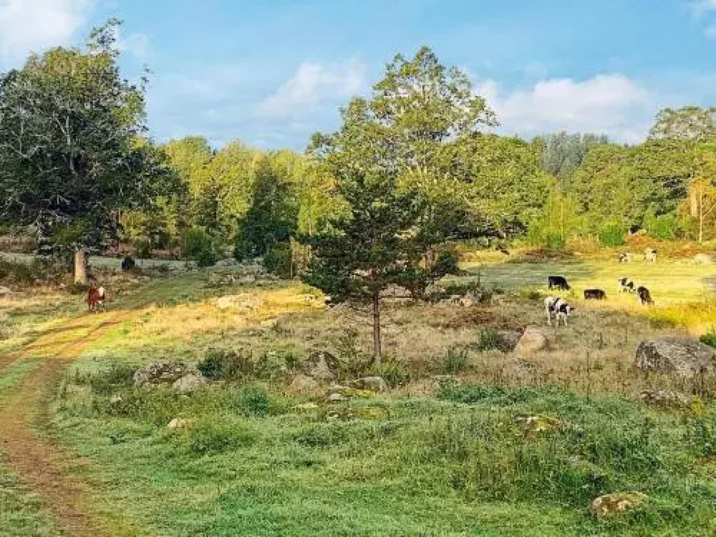 Three-Bedroom Holiday home in Gamleby 2