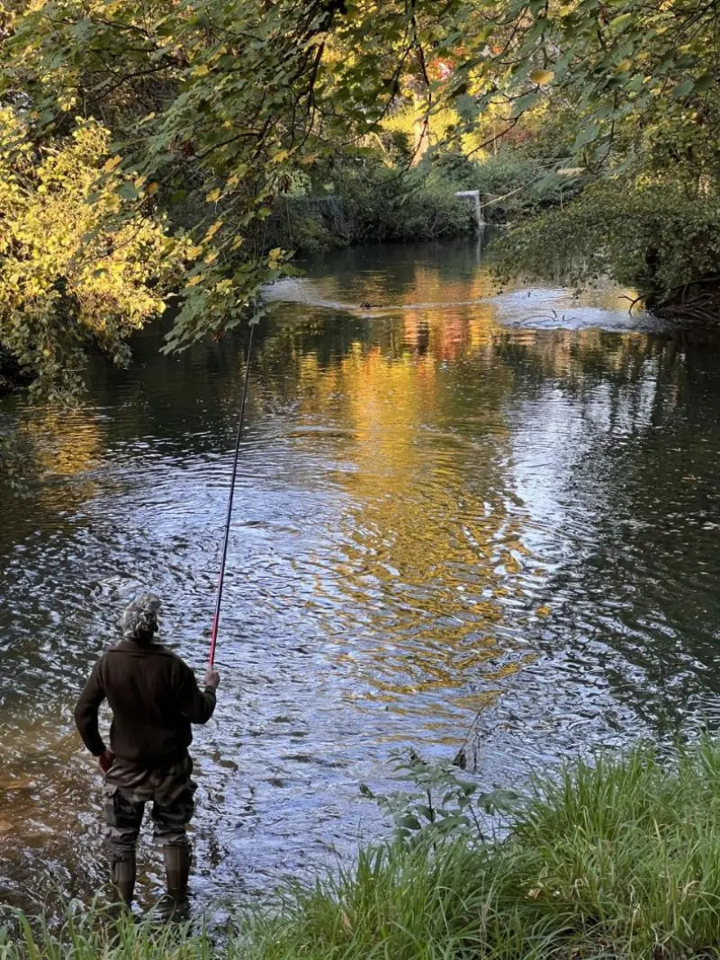 Hostellerie Au Rendez-vous des Amis