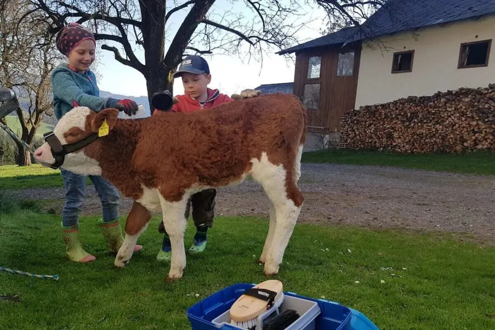 Ferienwohnungen Lichtenegger