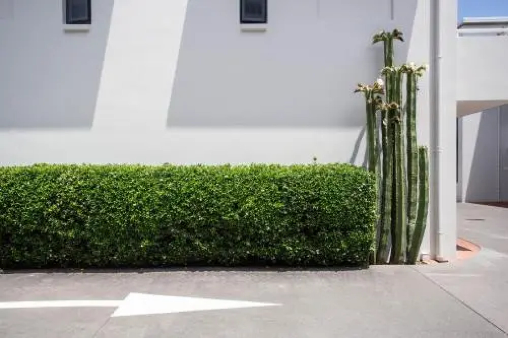 Capri on Pilot Bay Apartment