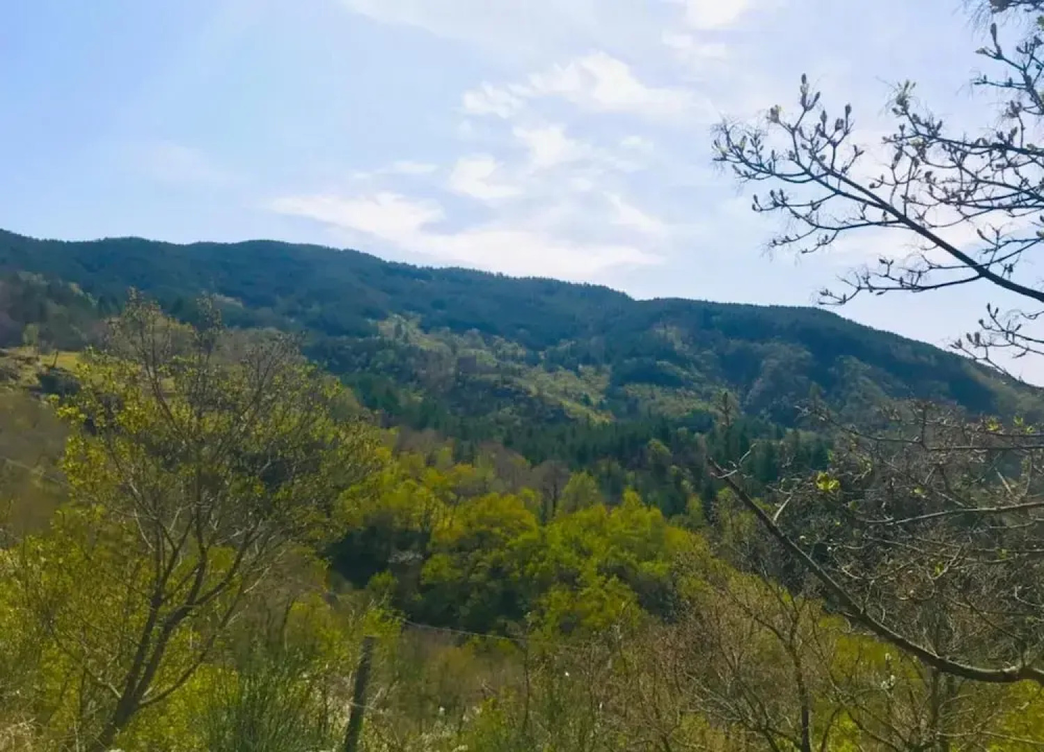 Farmhouse in Tuscany With Pool & Valley Views