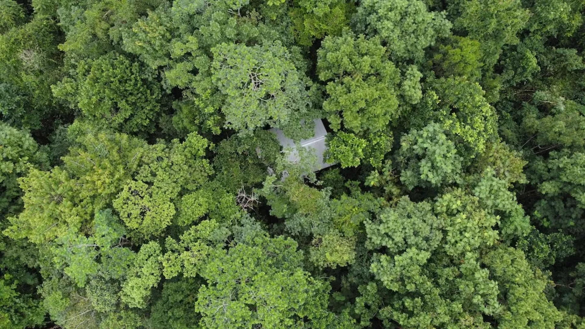 Yatama Ecolodge Sarapiqui