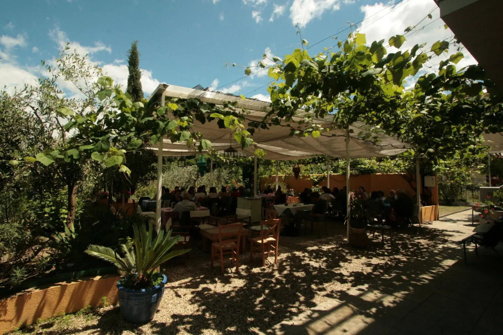 Agriturismo La Pergola dei Paggi