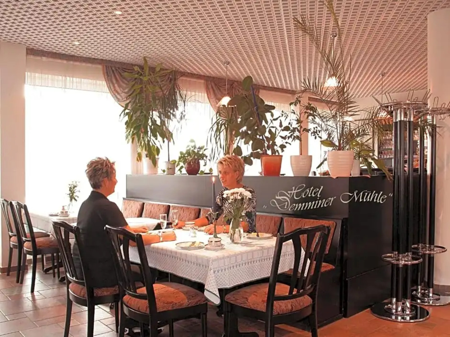 Hotel Demminer Mühle