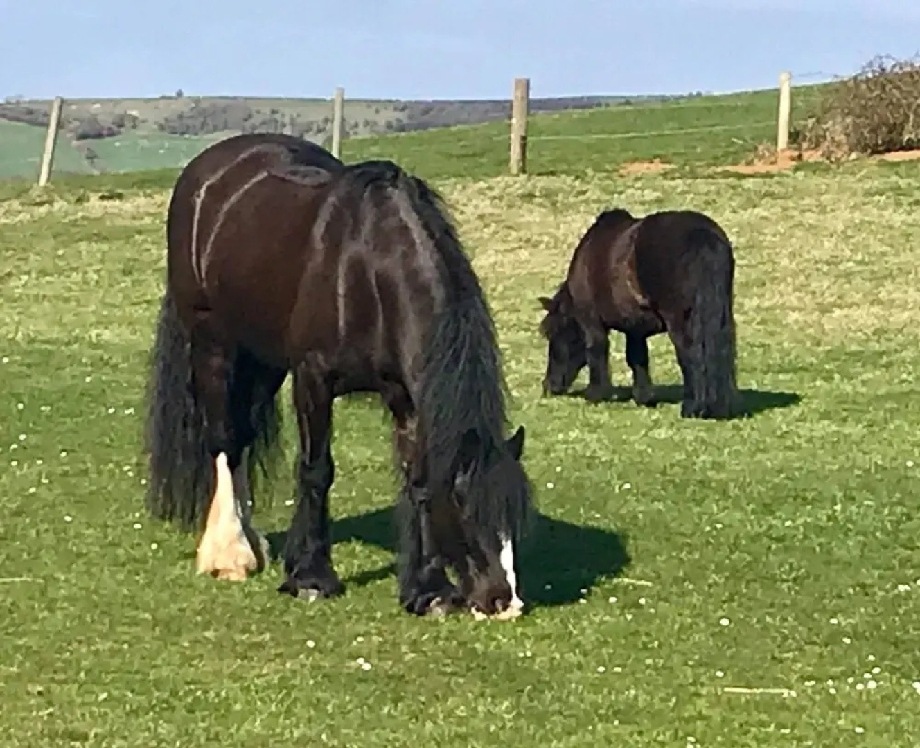 Queen Bower Farm Lodge