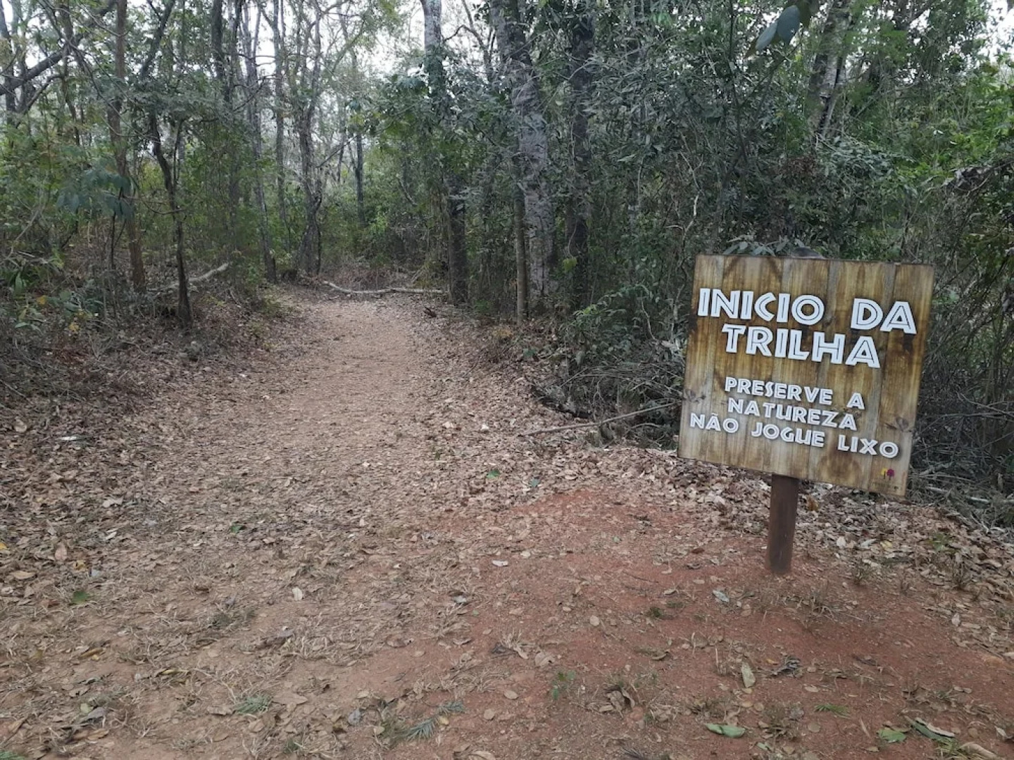 Ipê Florido Parque Hotel
