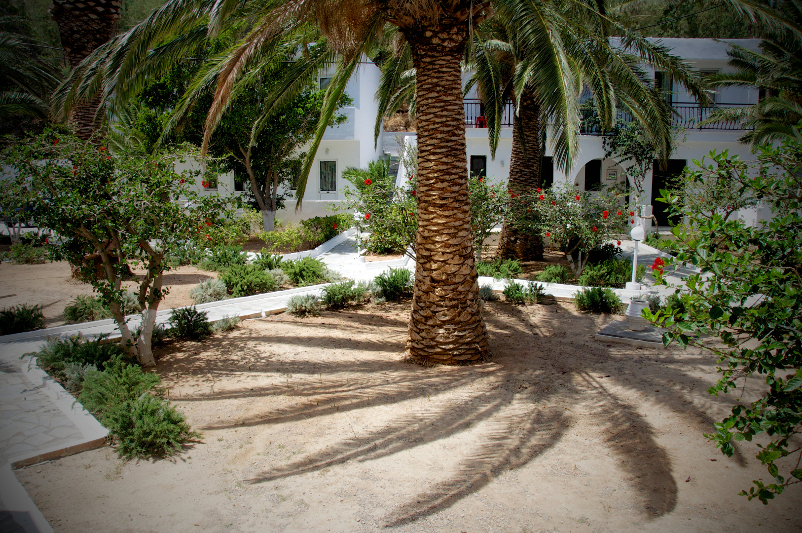 Avra Palm