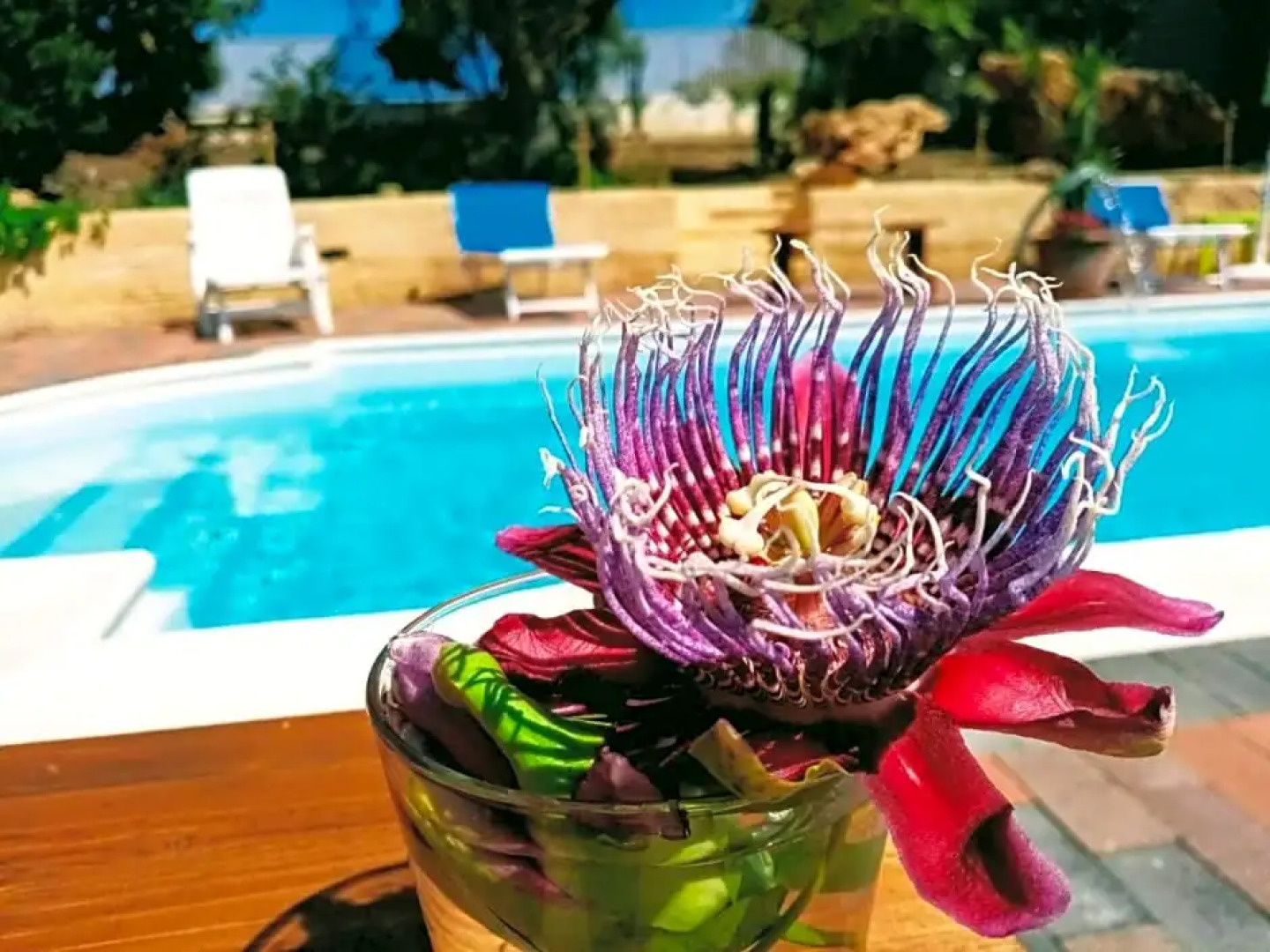 B&B Villa Sant'Antonio