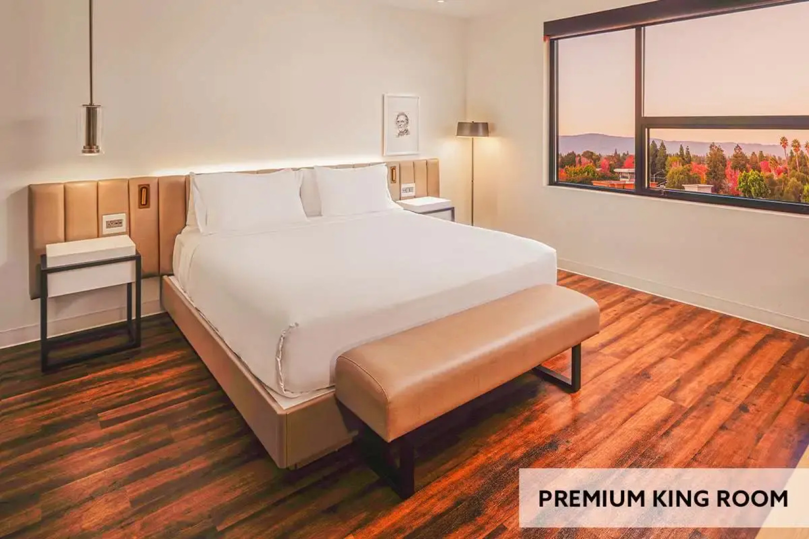 Shashi Hotel Mountain View Palo Alto