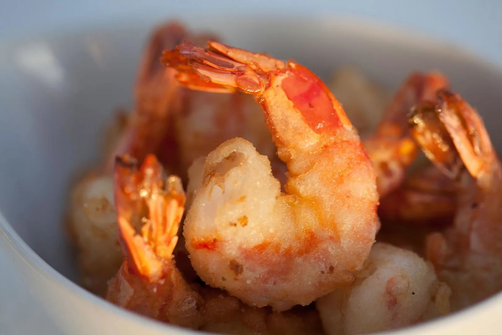 Papagayo Beach Resort