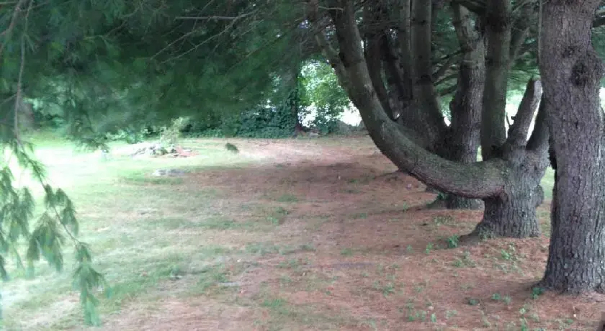 Sams Cottage on the Greens