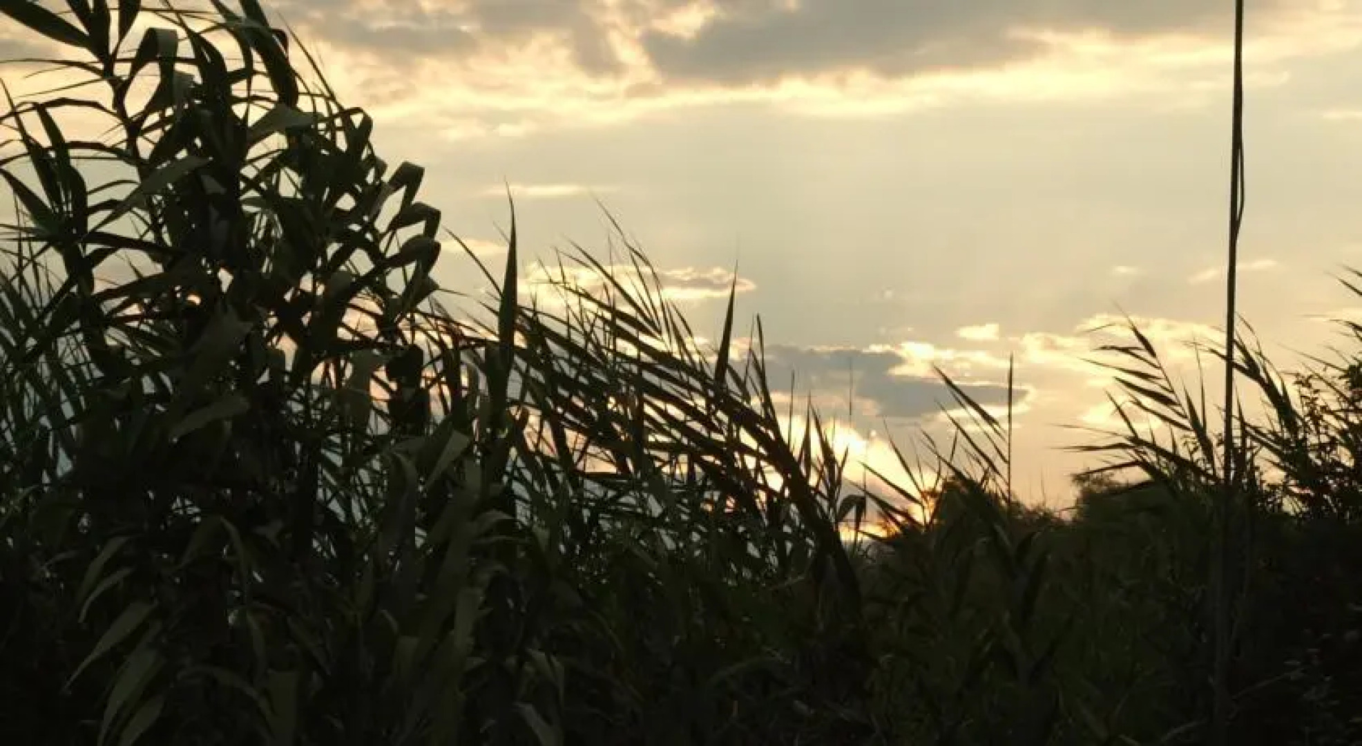 Andrea - Duna Delta Tours