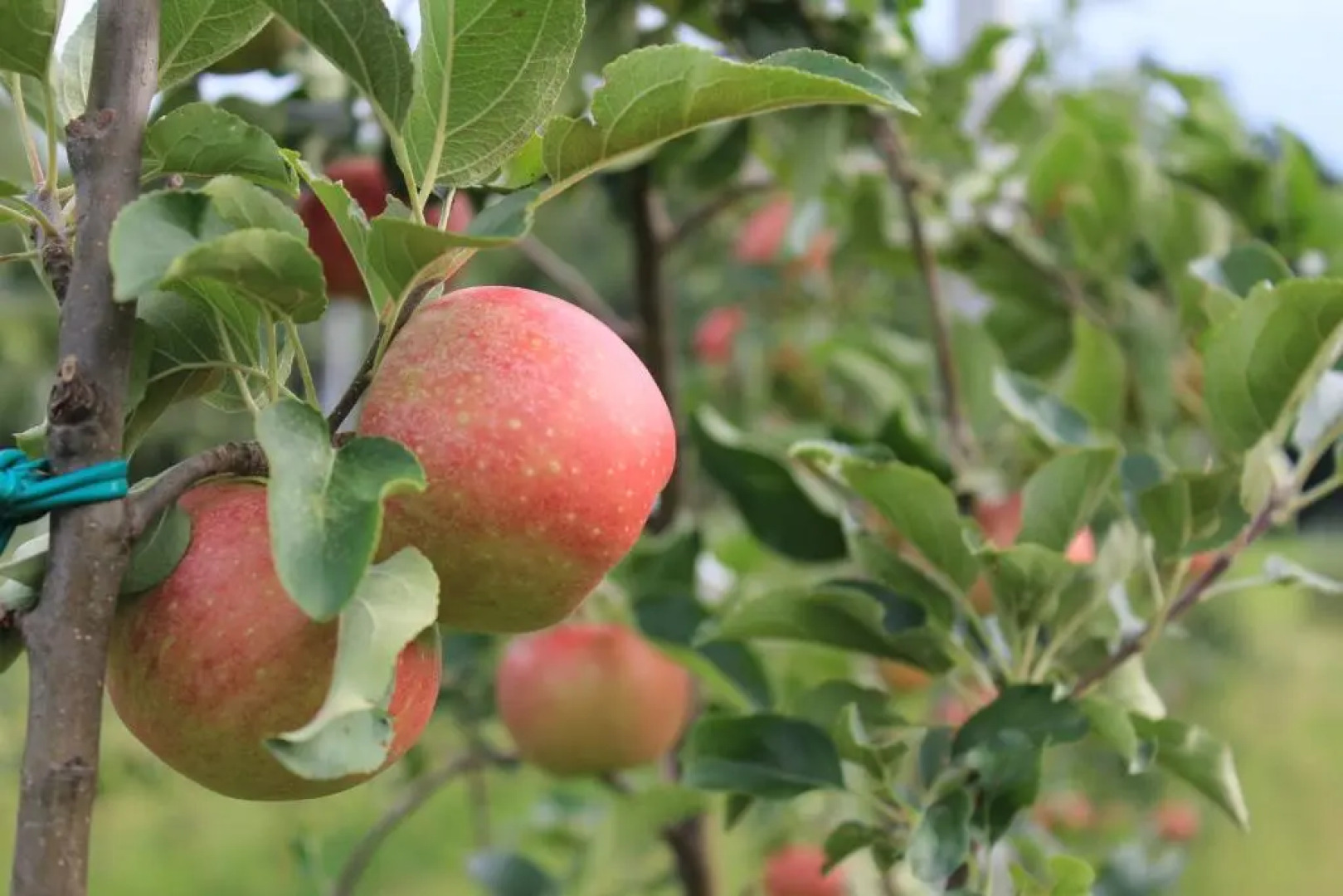 CASCINA LEGNAGO - bilocale a 6 chilometri da SALO'