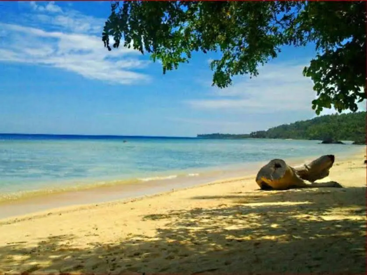 Treasure Island Beach Resort