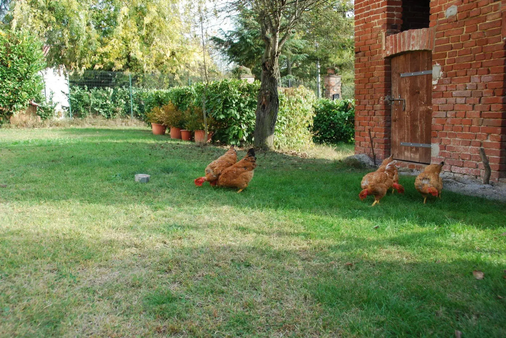 B&B Cascina Bricchetto