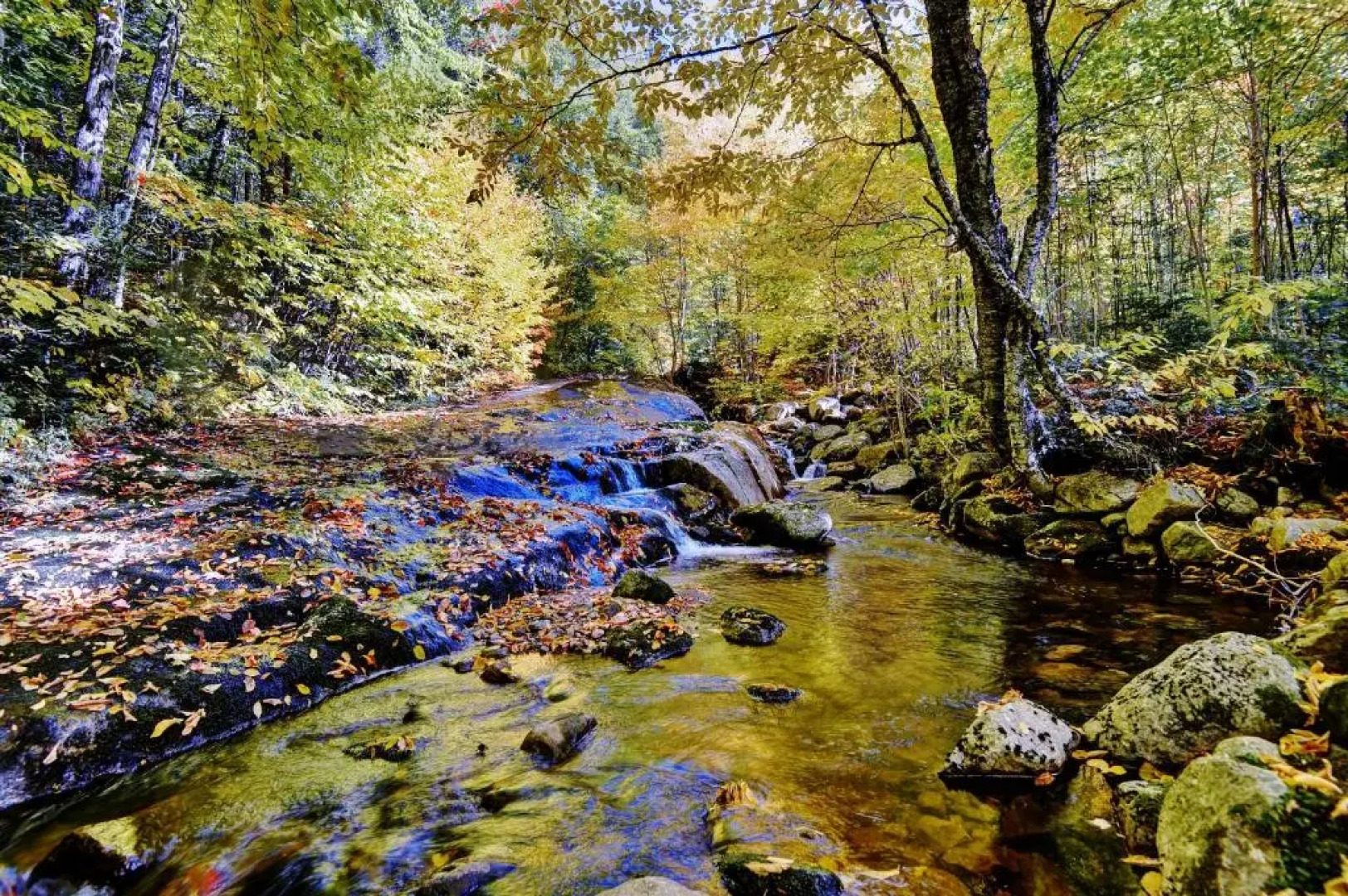 Chalets Alpins - 14 Chemin Alpin