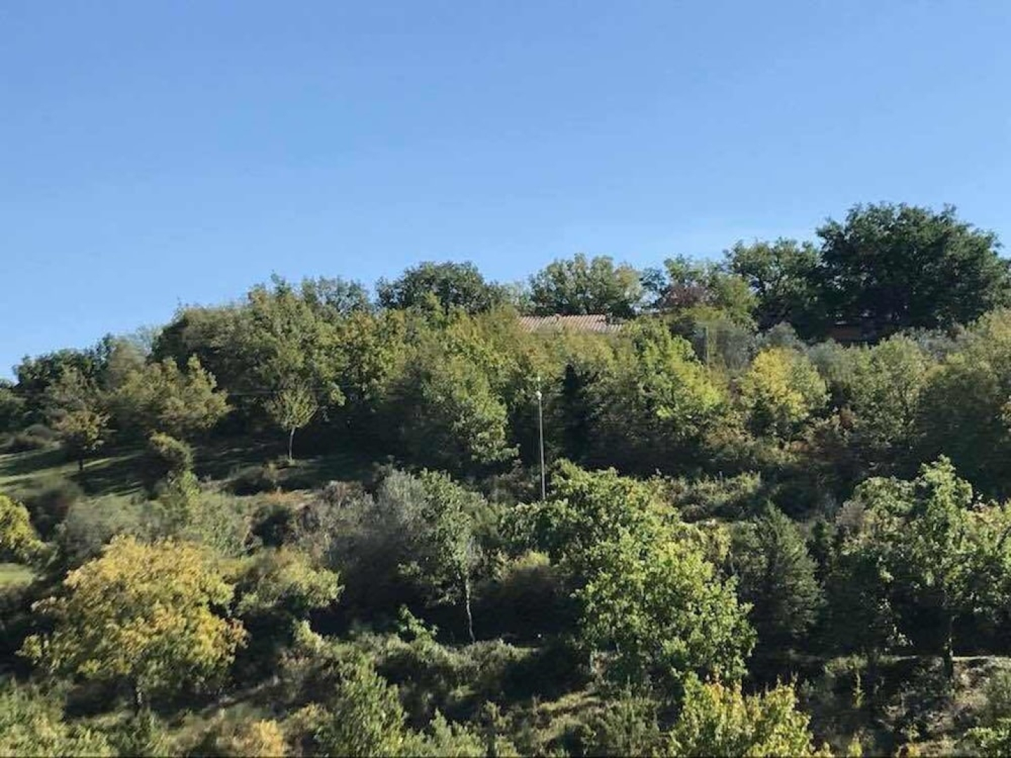 Agriturismo Colleciglio