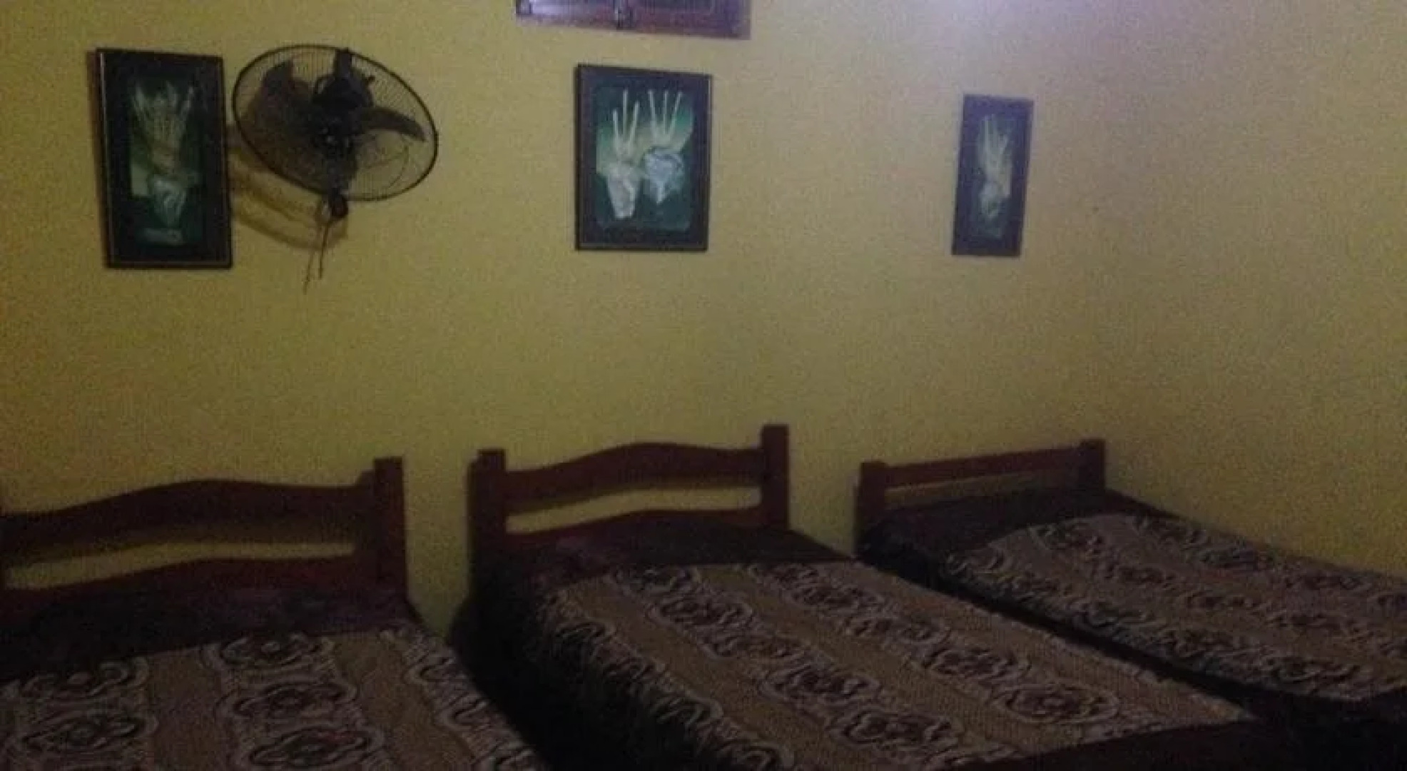 Paracas Hotel Ballestas Island