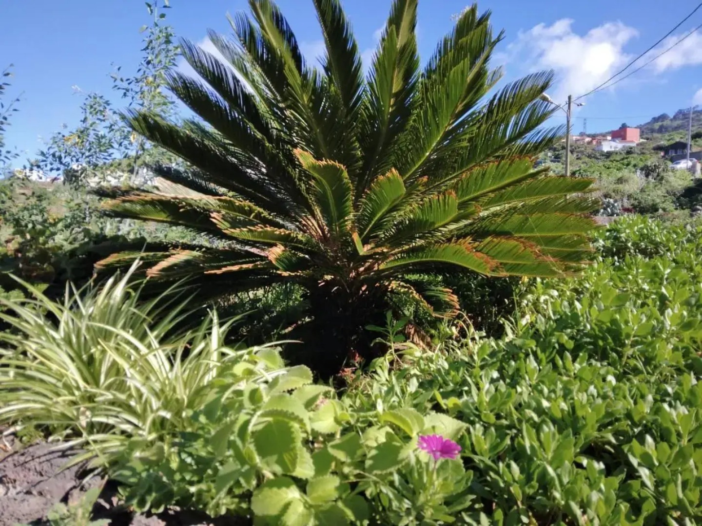 Casa Rural Los Arcos