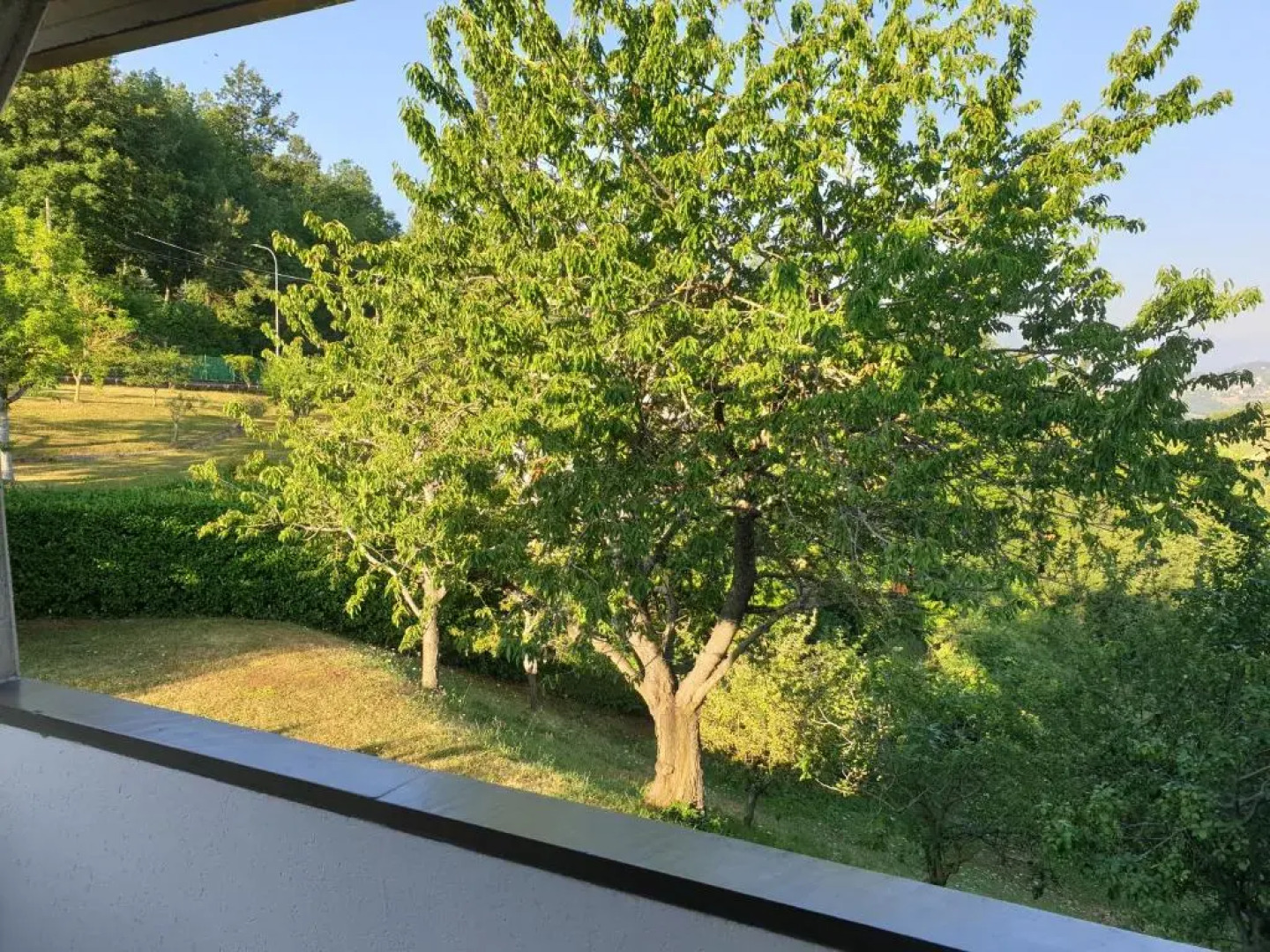 I Bocci (Adults Only)