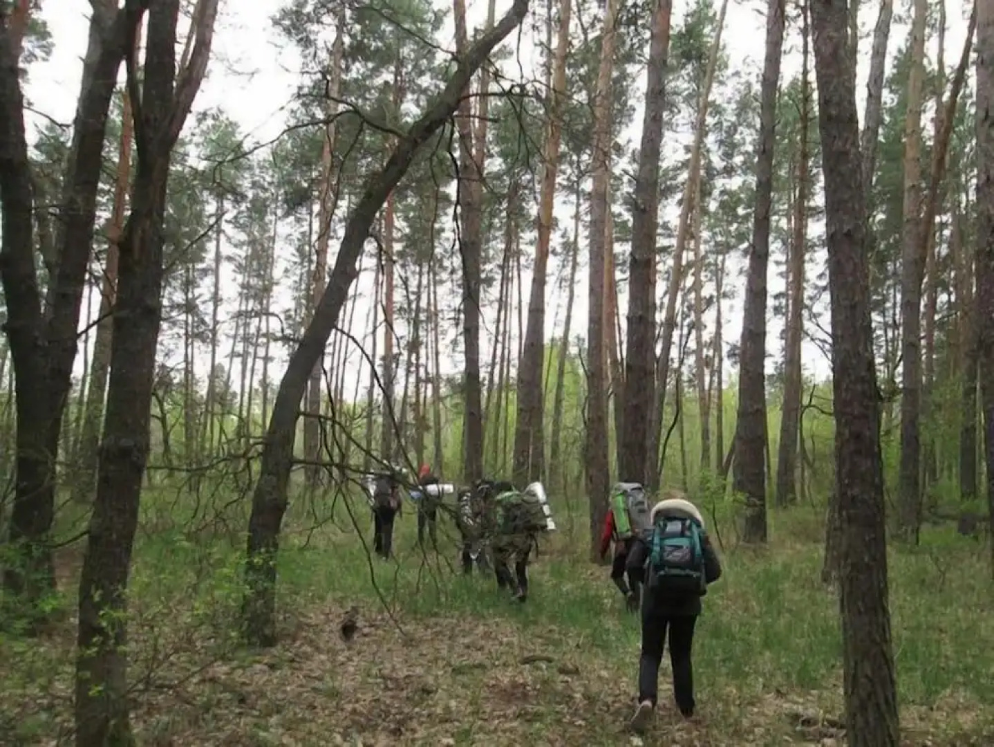 Апартаменты «Перлина Дзвинкова»