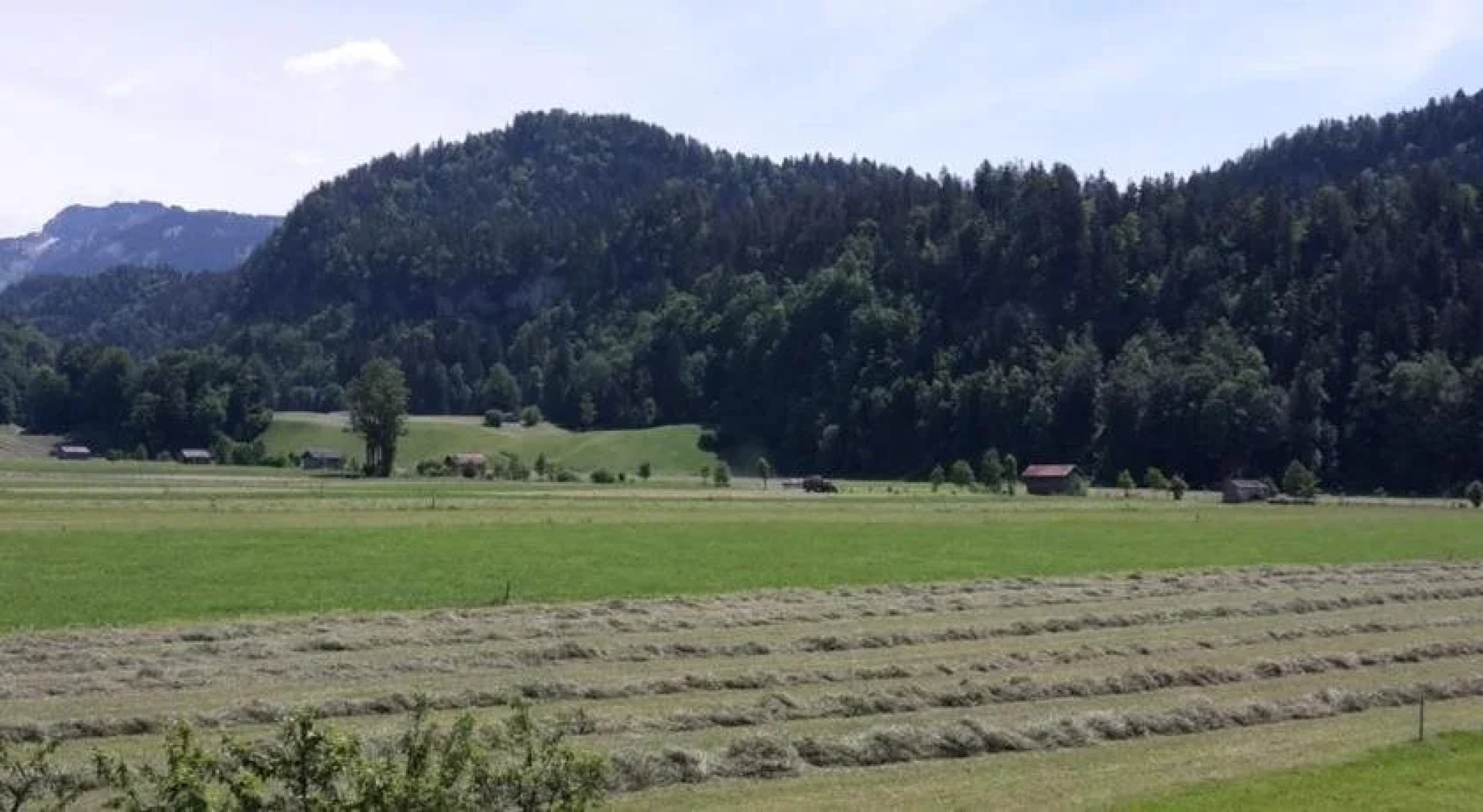 Gästehaus Appartements Egender