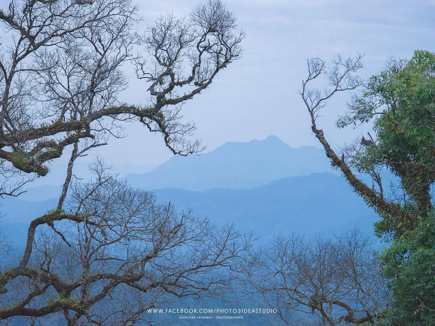 Baan Suphanbhum - Teddu Inn Maekampong