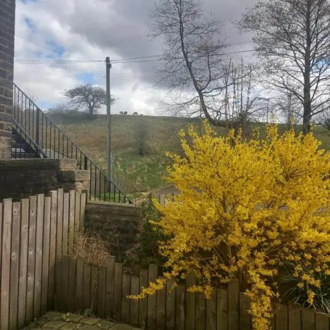 The Old Joinery Guest House