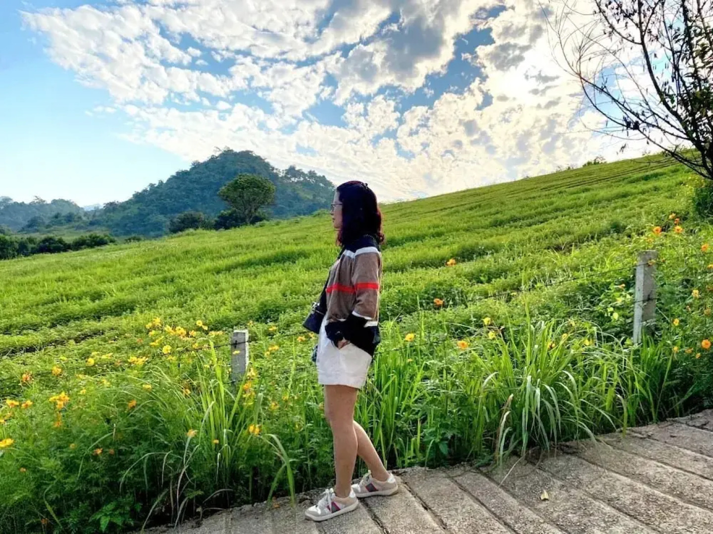 Doi Thong Moc Chau - by BAY LUXURY