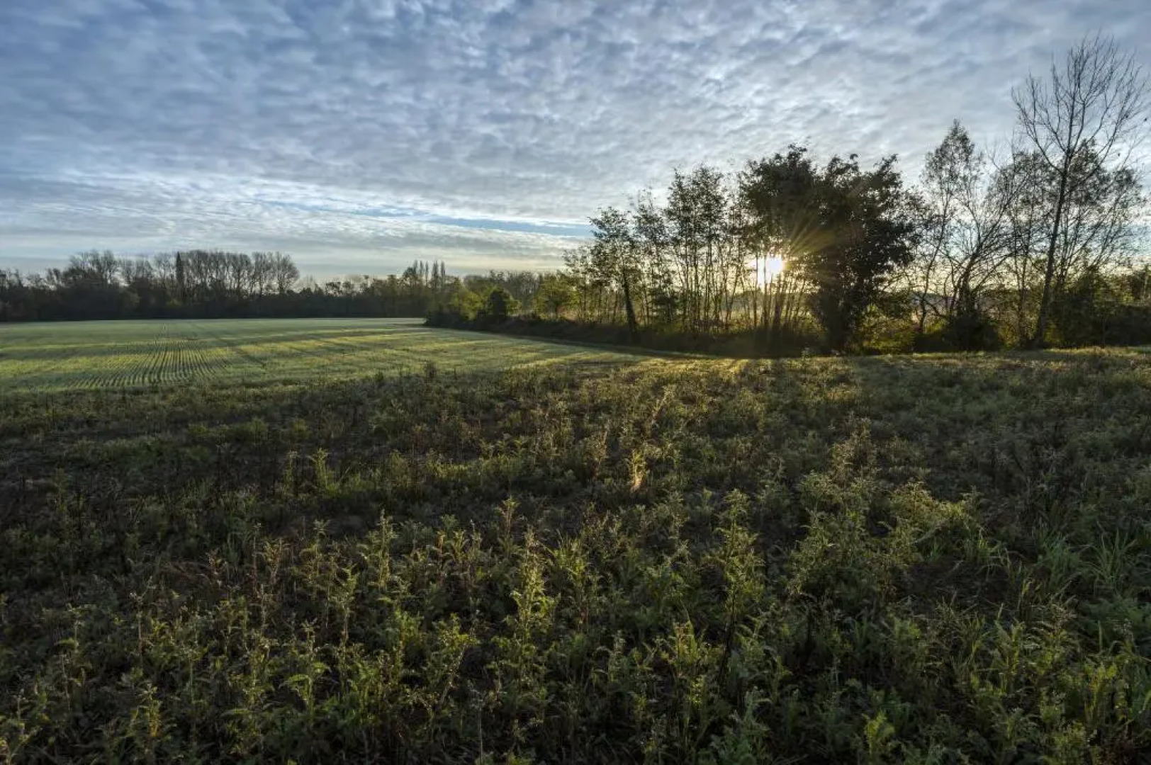 Bed And Breakfast Sile E Natura