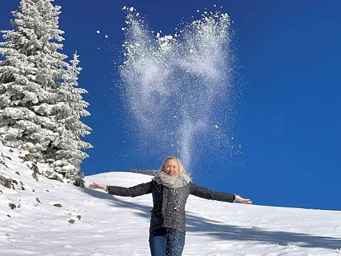 Windy Terrace Boutique Hotel