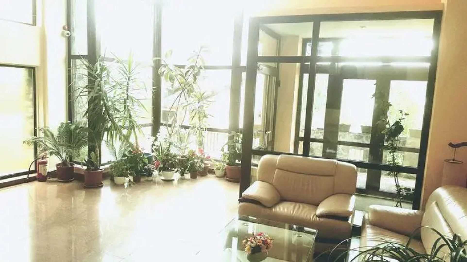 Hotel Mont Blanc