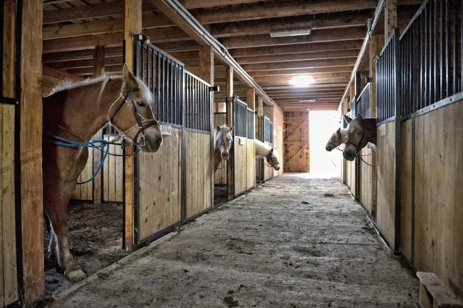 Potcoava Mountain Hideaway